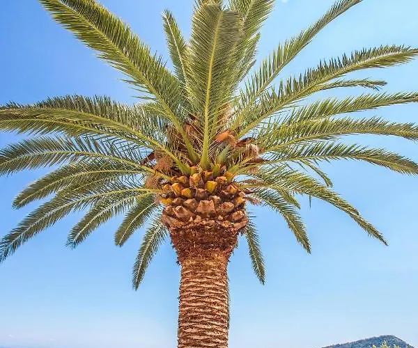 Kinira Beach Hotel